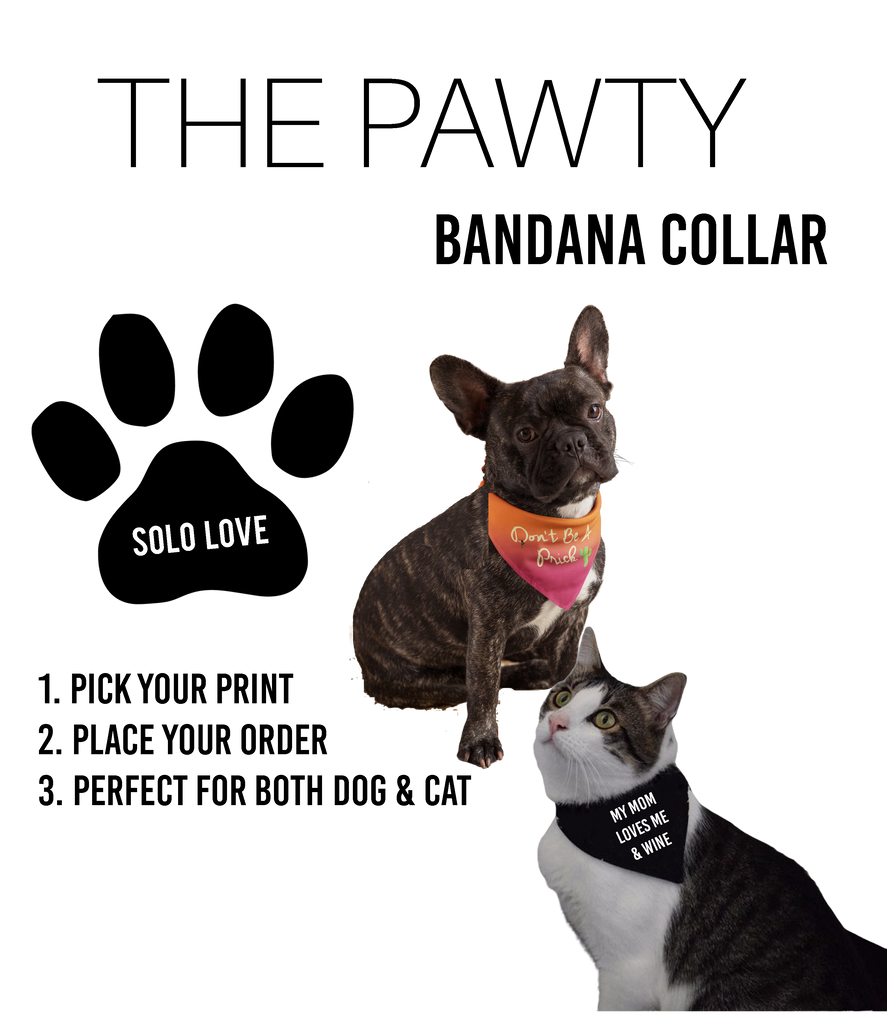 Solo Love 'Pawty' Bandana Collar
